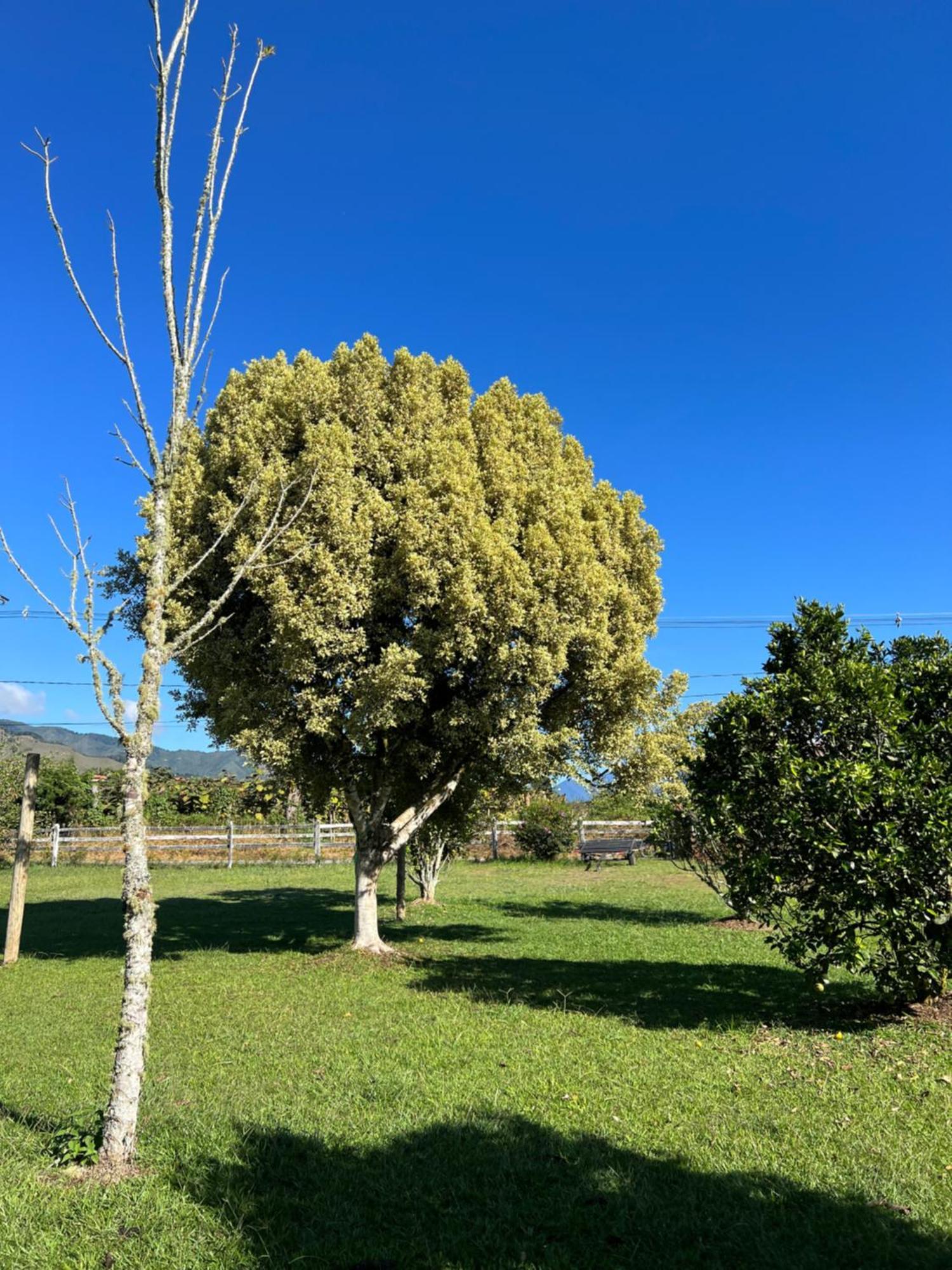 Finca Hotel Paraiso Urrao Eksteriør bilde
