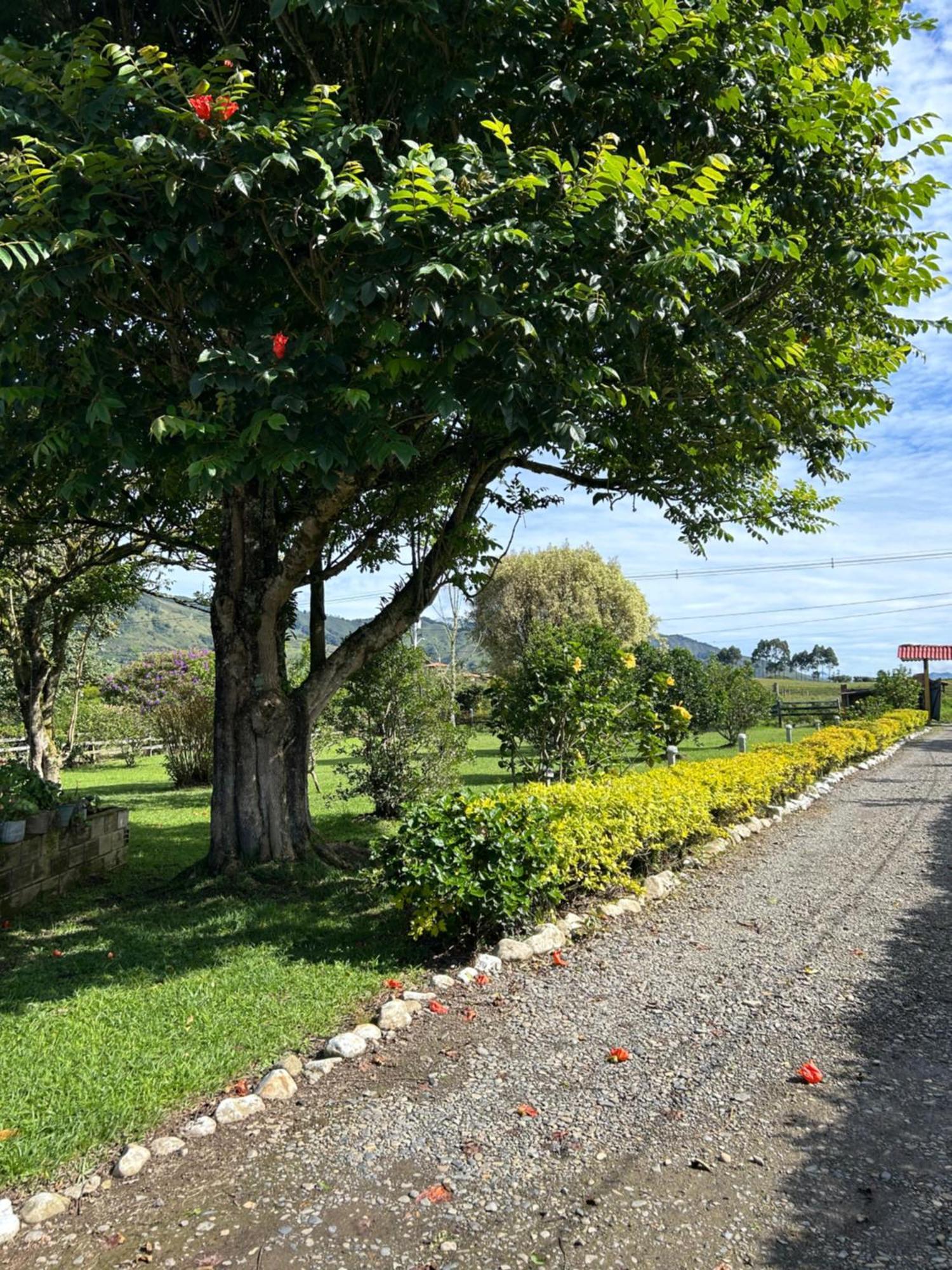 Finca Hotel Paraiso Urrao Eksteriør bilde